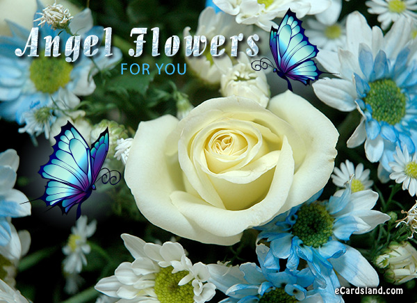 Angel Flowers