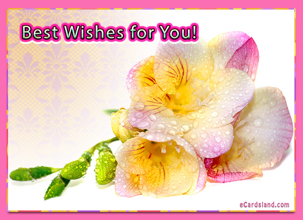 Best Wishes for You