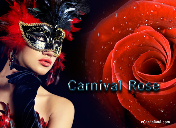Carnival Rose