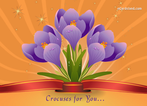 Crocuses for You