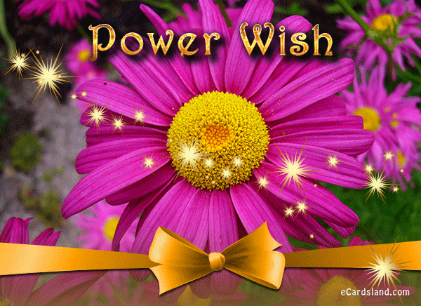 Power Wish