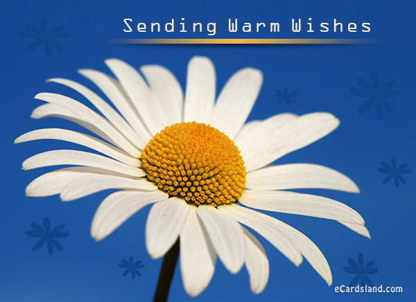 Sending Warm Wishes