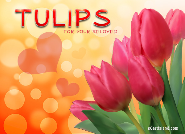 Tulips for Your Beloved