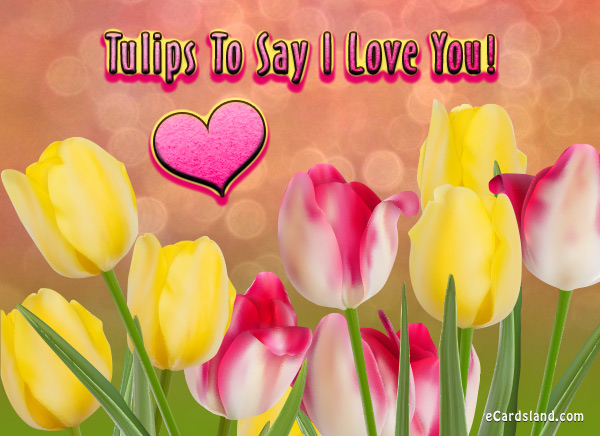 Tulips To Say I Love You