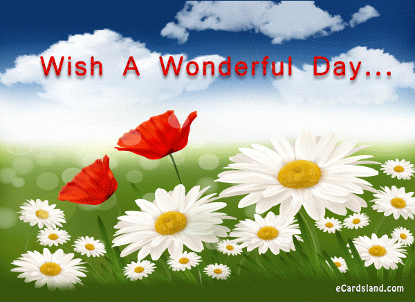 Wish A Wonderful Day