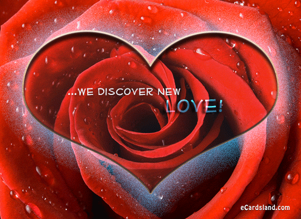 We Discover New Love