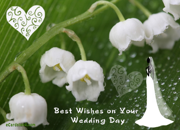 Best Wishes on Your Wedding Day