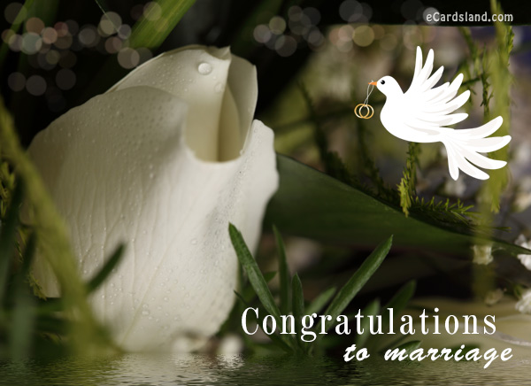Congratulations to Marriage