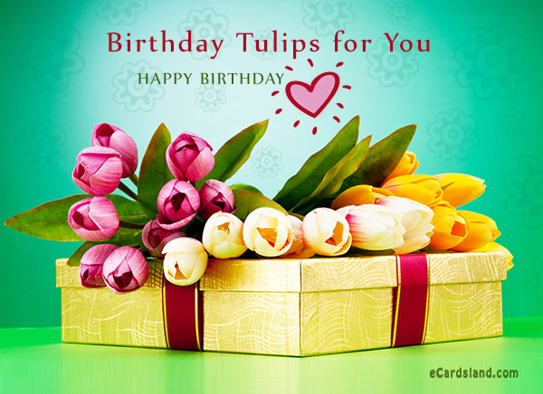 Birthday Tulips for You
