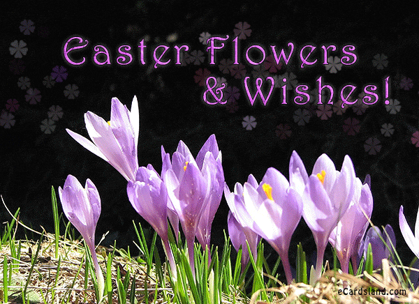 Easter Flowers and Wishes