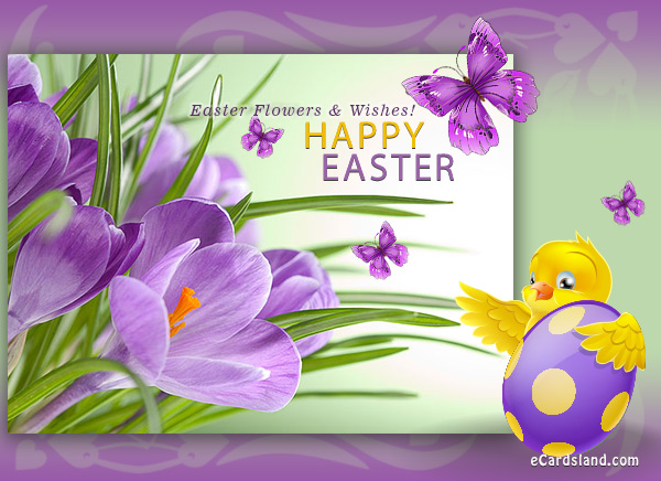 Easter Flowers and Wishes