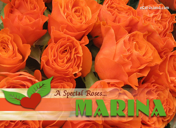 A Special Rose for Marina