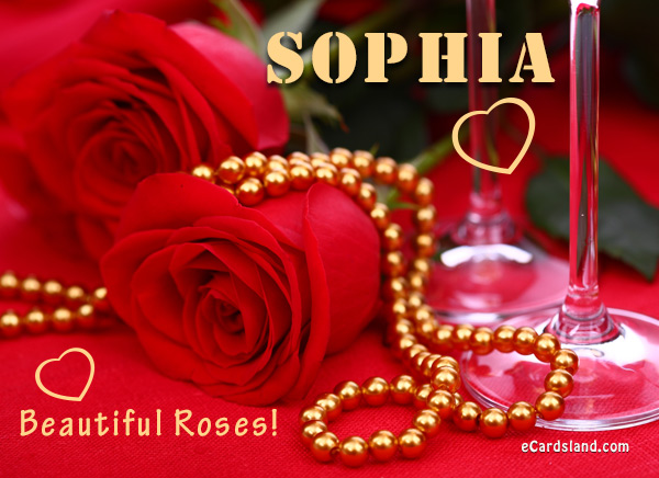 Beautiful Roses for Sophia