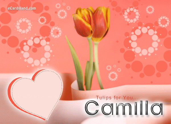 Special One Camilla