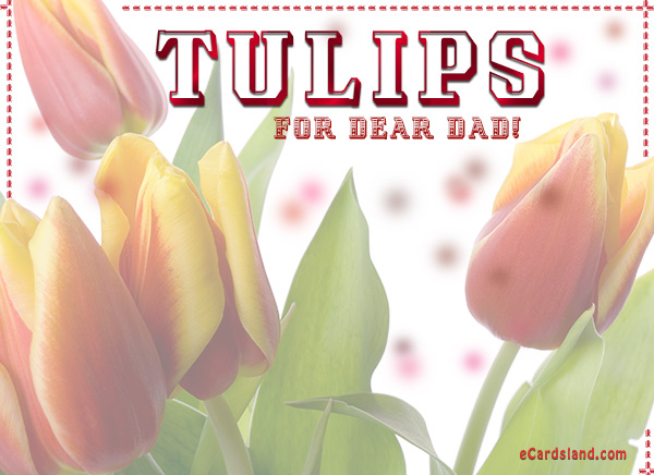 Tulips for Dear Dad