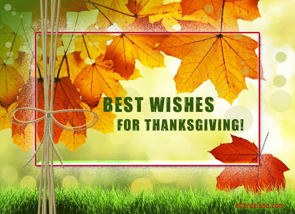 Best Wishes for Thanksgiving - eCards Free , Greeting eCards Free