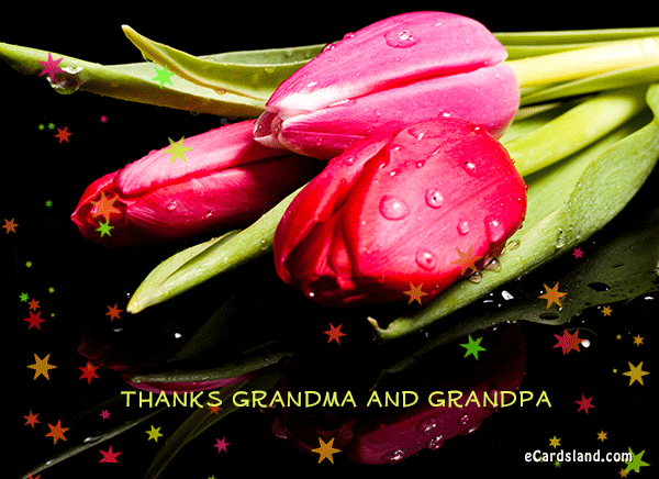 Thanks Grandma and Grandpa