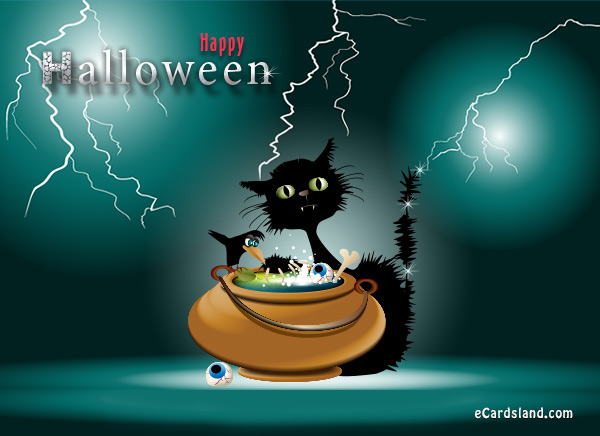 Black Cat and Halloween