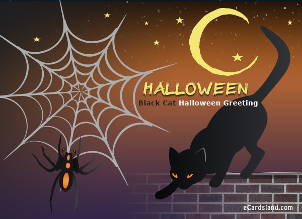 Black Cat Halloween Greeting