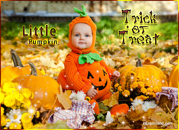 Little Halloween Pumpkin