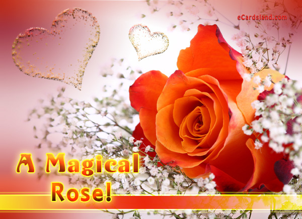 A Magical Rose - eCards Free , Greeting eCards Free