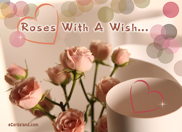 Roses With A Wish