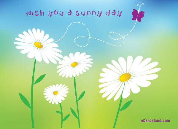 Wish You a Sunny Day