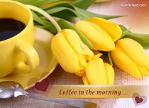 Free eCards, Free flowers cards - Coffee in the Morning