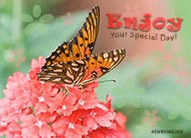 Free eCards, Flower ecard - Enjoy Your Special Day