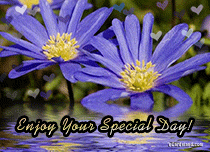 eCards Flowers Enjoy Your Special Day, Enjoy Your Special Day