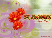 eCards Flowers Flowers for You, Flowers for You