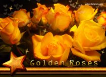   eCards - Golden Roses