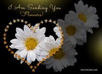 Free eCards, Flowers cards free - I Am Sending You Flowers