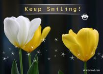 Free eCards - Keep Smiling