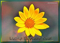 Free eCards, Free flower card - Lucky To Have You