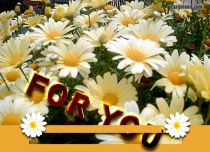 Free eCards - Message in Flowers