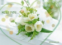 Free eCards, Flowers e-cards - Miss You