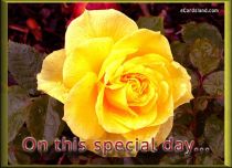 Free eCards, Flowers e card - On This Special Day
