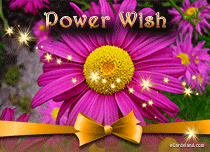 eCards Flowers Power Wish, Power Wish