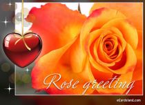 Free eCards, Flowers ecards free - Rose Greeting