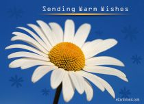 eCards Flowers Sending Warm Wishes, Sending Warm Wishes