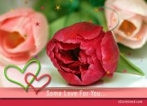 Free eCards Flowers - Some Love For You