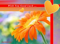 eCards Flowers Wish You Good Luck, Wish You Good Luck