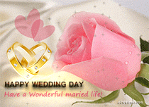 eCards Wedding Have a Wonderful Maried life, Have a Wonderful Maried life
