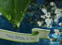 eCards Birthday Happy Birthday to You, Happy Birthday to You