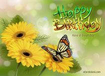 Free eCards, Birthday cards messages - Have A Great Day