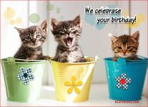 eCards Birthday We Celebrate Your Birthday, We Celebrate Your Birthday