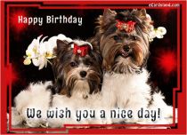 Free eCards, Birthday funny ecards - We Wish You a Nice Day