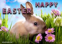 eCards  Easter Day