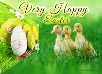 eCards  Easter Ducks Greeting